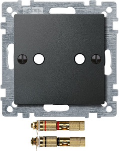 PŁYTKA CENT.+2 WT. GŁOŚ., ANTR., SYS. M - 469314 - SCHNEIDER ELECTRIC