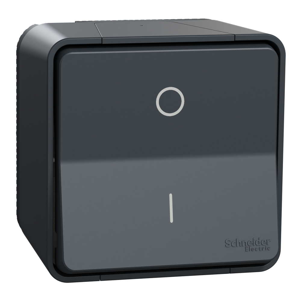 Mureva łącznik 2-biegunowy antracytowy - MUR35033 - SCHNEIDER ELECTRIC