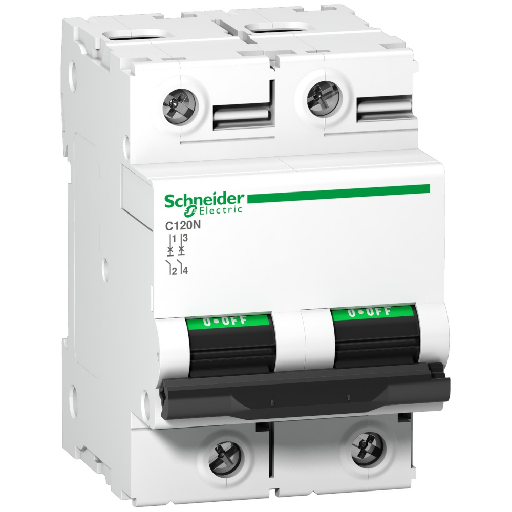Wyłącznik nadprądowy C120N-C80-2 - A9N18361 - SCHNEIDER ELECTRIC
