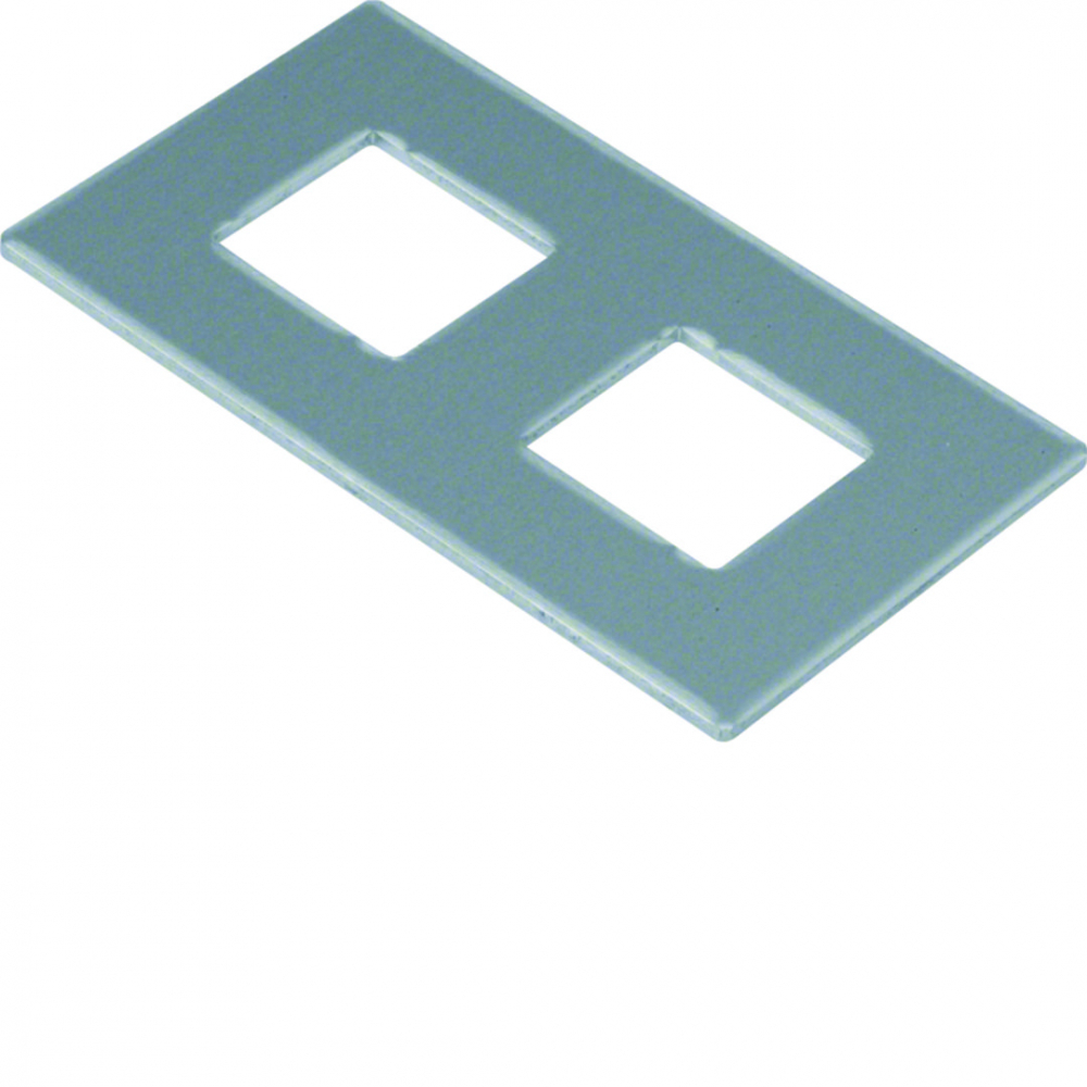 tehalit.GB-EG Płytka montażowa GTVD2/300 2xRJ45 17,2x18,3 aluminium - GTVDM042 - HAGER