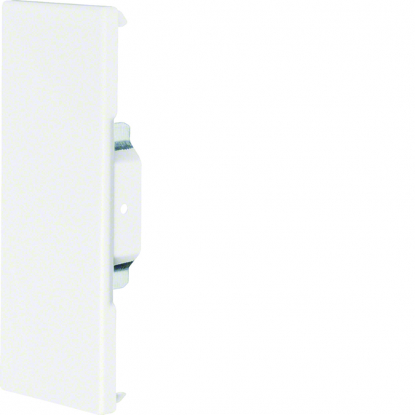 tehalit.BRS Końcówka 65x170, biała - BRS6517069016 - HAGER