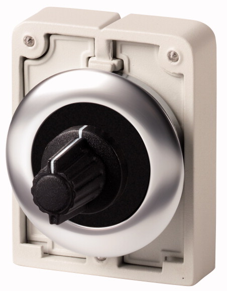 POTENCJOMETR 30MM 1M , STAL NIERDZ. M30I-FR1M-BLANK - 188125 - EATON