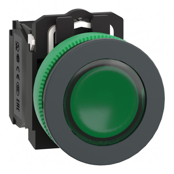 PŁASKI ZIELON NAK PRZYCISK LED 24 1NO1NC - XB5FW33B5 - SCHNEIDER ELECTRIC