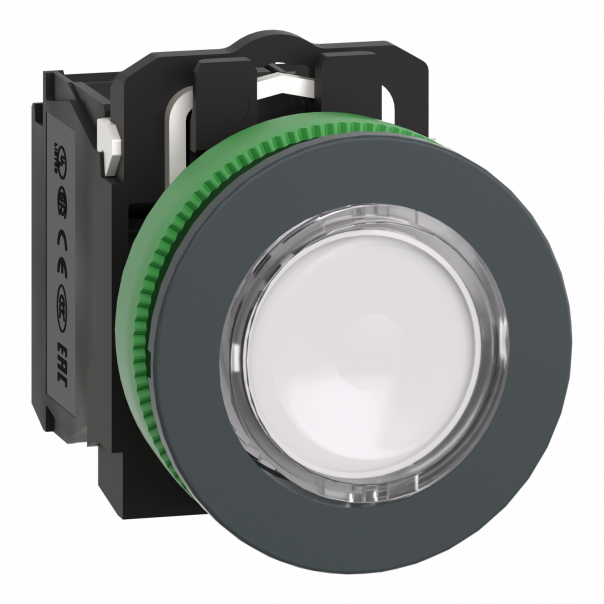 PŁASKI BIAŁY NAKŁ PRZYCISK LED 24 1NO1NC - XB5FW31B5 - SCHNEIDER ELECTRIC
