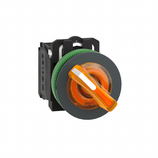 PŁASKI POMAR PRZEŁPIÓRK 2POZ  24 1NO 1NC - XB5FK125B5 - SCHNEIDER ELECTRIC