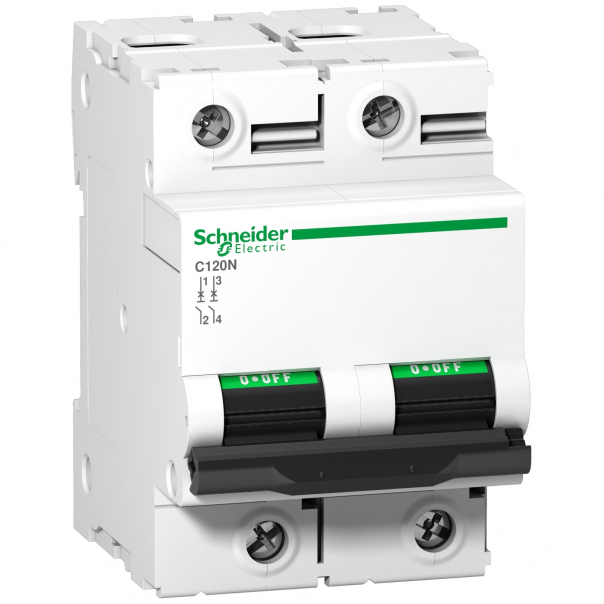 Wyłącznik nadprądowy C120N-C80-2 - A9N18361 - SCHNEIDER ELECTRIC