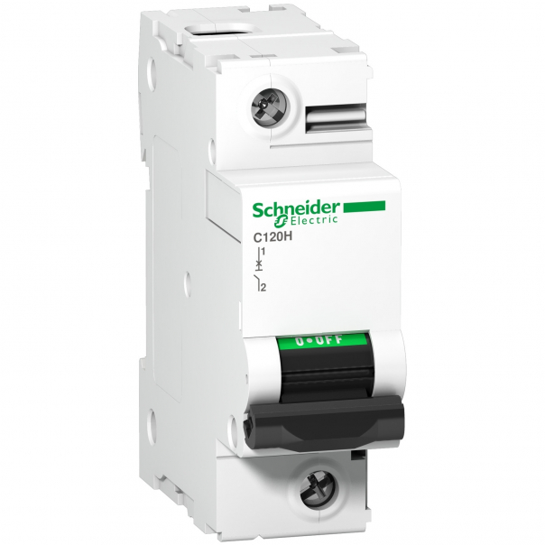 Wyłącznik nadprądowy C120H-D125 - A9N18492 - SCHNEIDER ELECTRIC