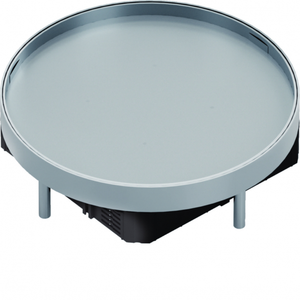 tehalit.VE-EE Pokrywa pełna IP54 20kN EKSR12 fi306 15mm stal nierdzewna - EKSR120BL15 - HAGER