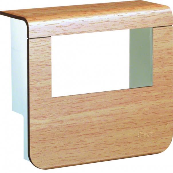 tehalit.SL Pokrywa nośnika urządzeń 20x55 2*45x45 buk - SL20055932D2 - HAGER