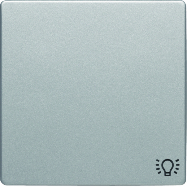 Q.x Klawisz z nadr. symb. "światło" łącz. 1-kl., alu aks, lak - 16206044 - HAGER