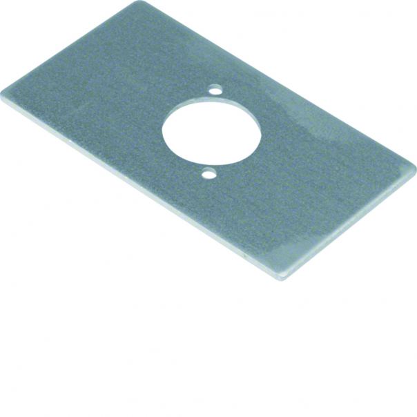 tehalit.GB-EG Płytka montażowa GTVD2/300 AUDIO xLR D=24 aluminium - GTVDM311 - HAGER