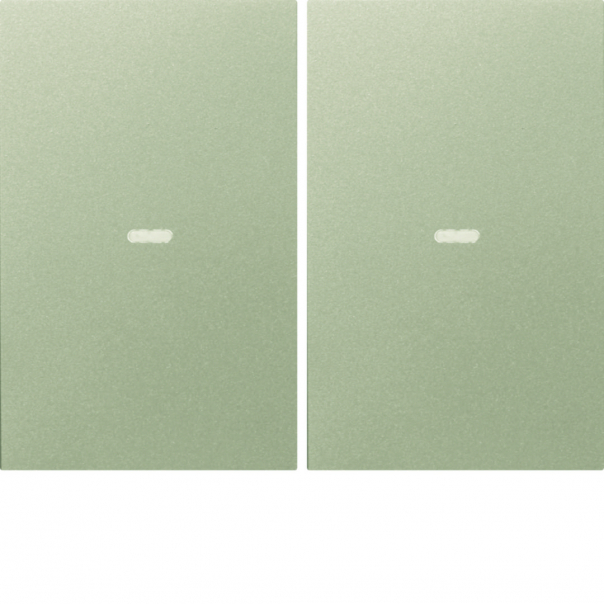 KNX e/s K.x Klawisze z soczewką do modułu przycisku 2-kr, stal szlachetna, lak. - 80960373 - HAGER